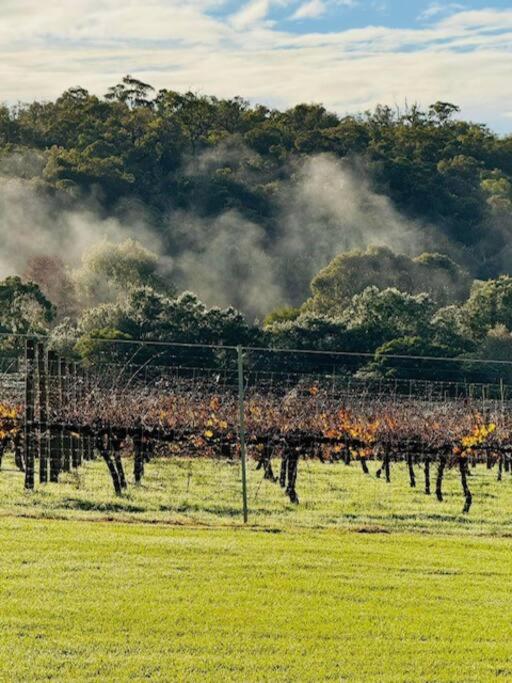 Wildwood Retreat a Luxury Vineyard Escape