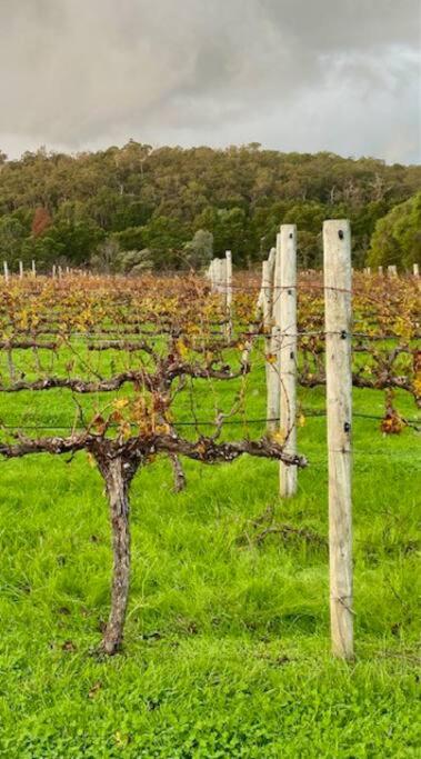 Wildwood Retreat a Luxury Vineyard Escape
