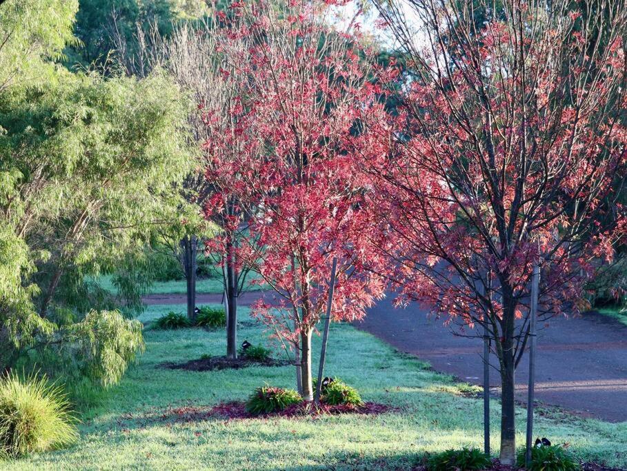 Wildwood Retreat a Luxury Vineyard Escape