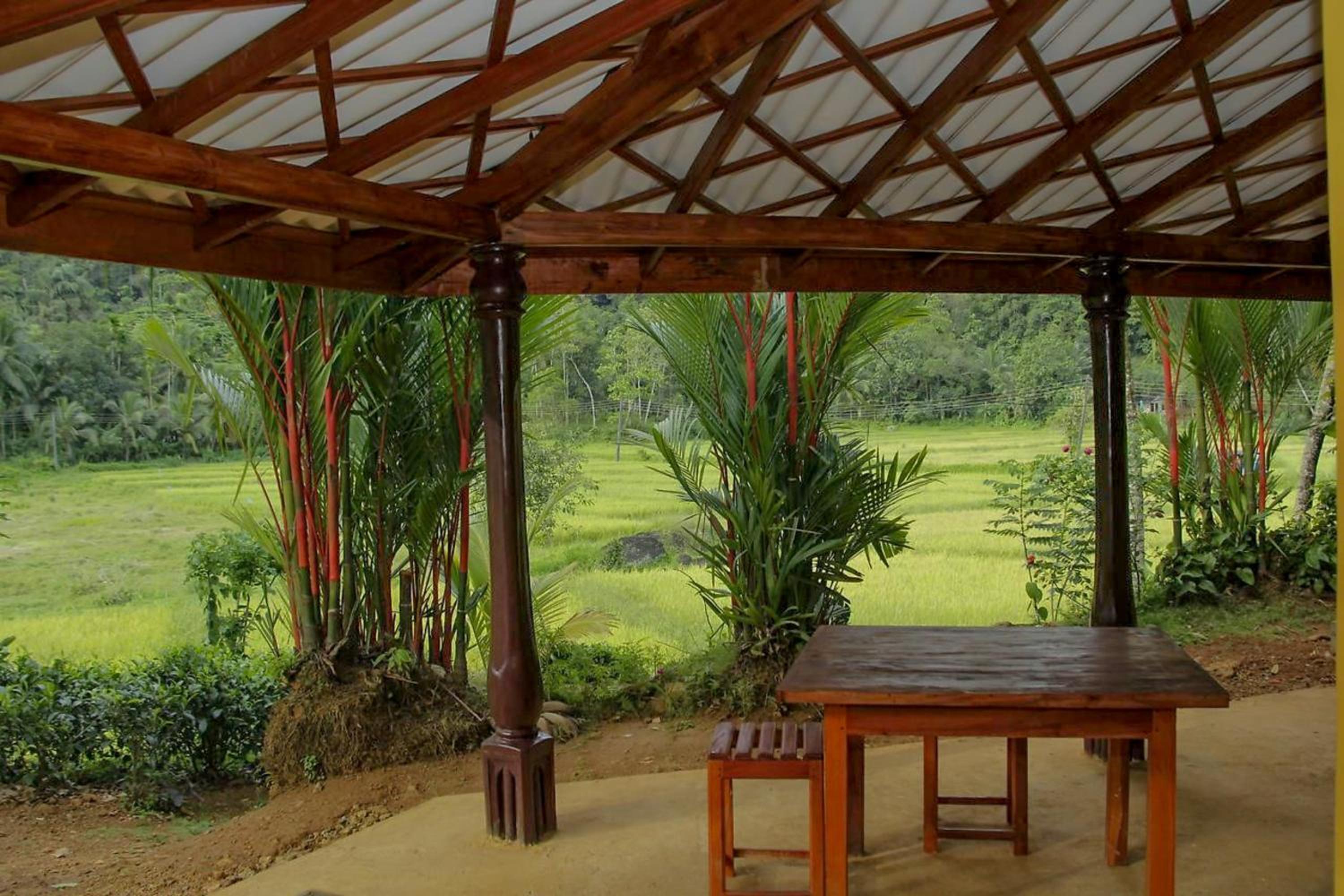 Forest & Fields Sinharaja view 5