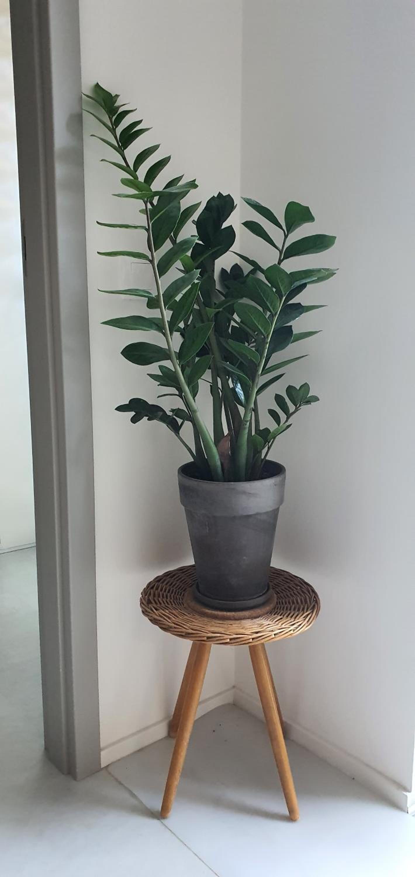 Apartmán Achát v Jizerkách