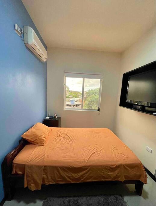 Serenity Apartment
