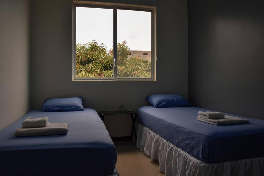 Serenity Apartment