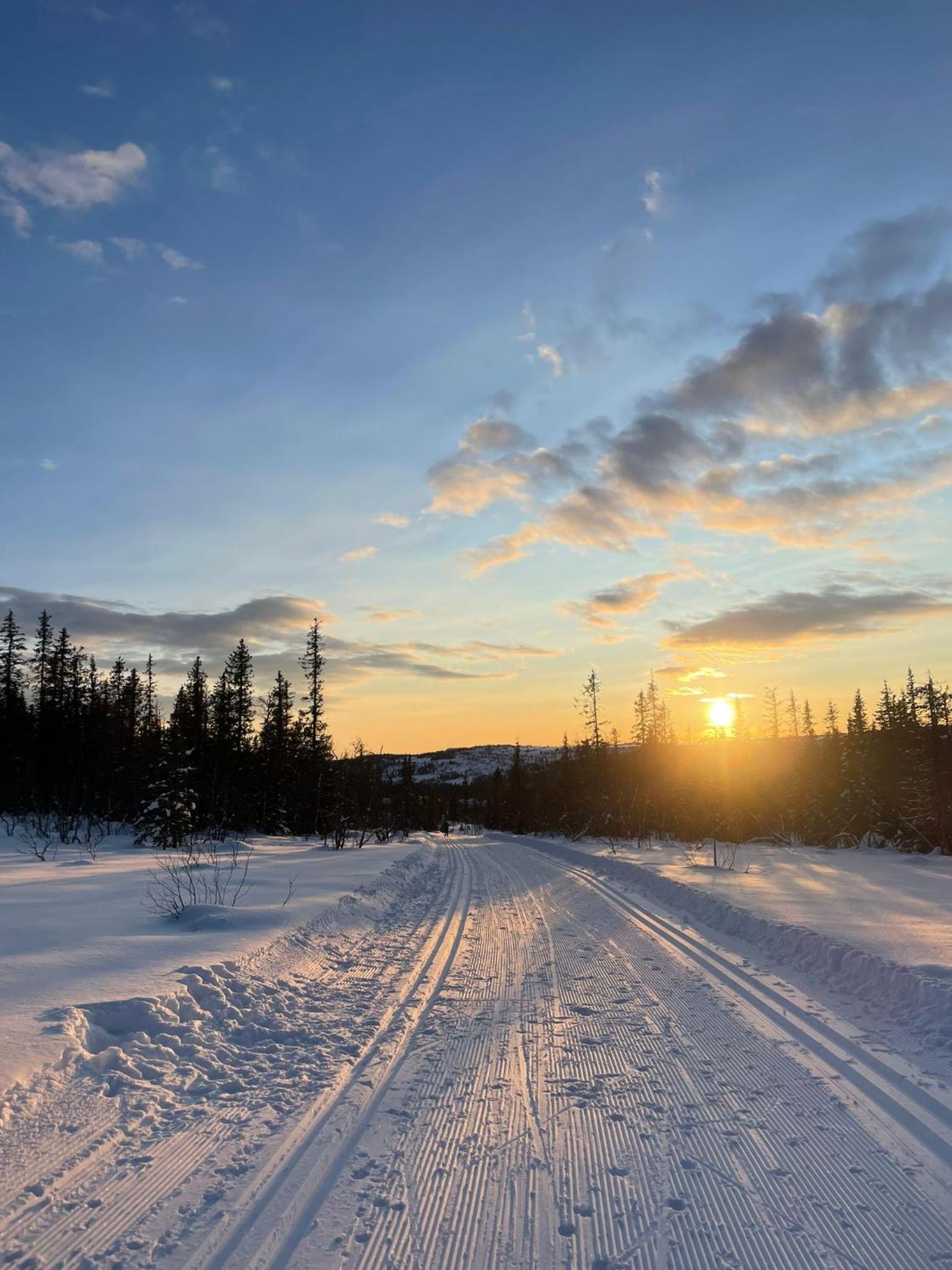 Photo 66