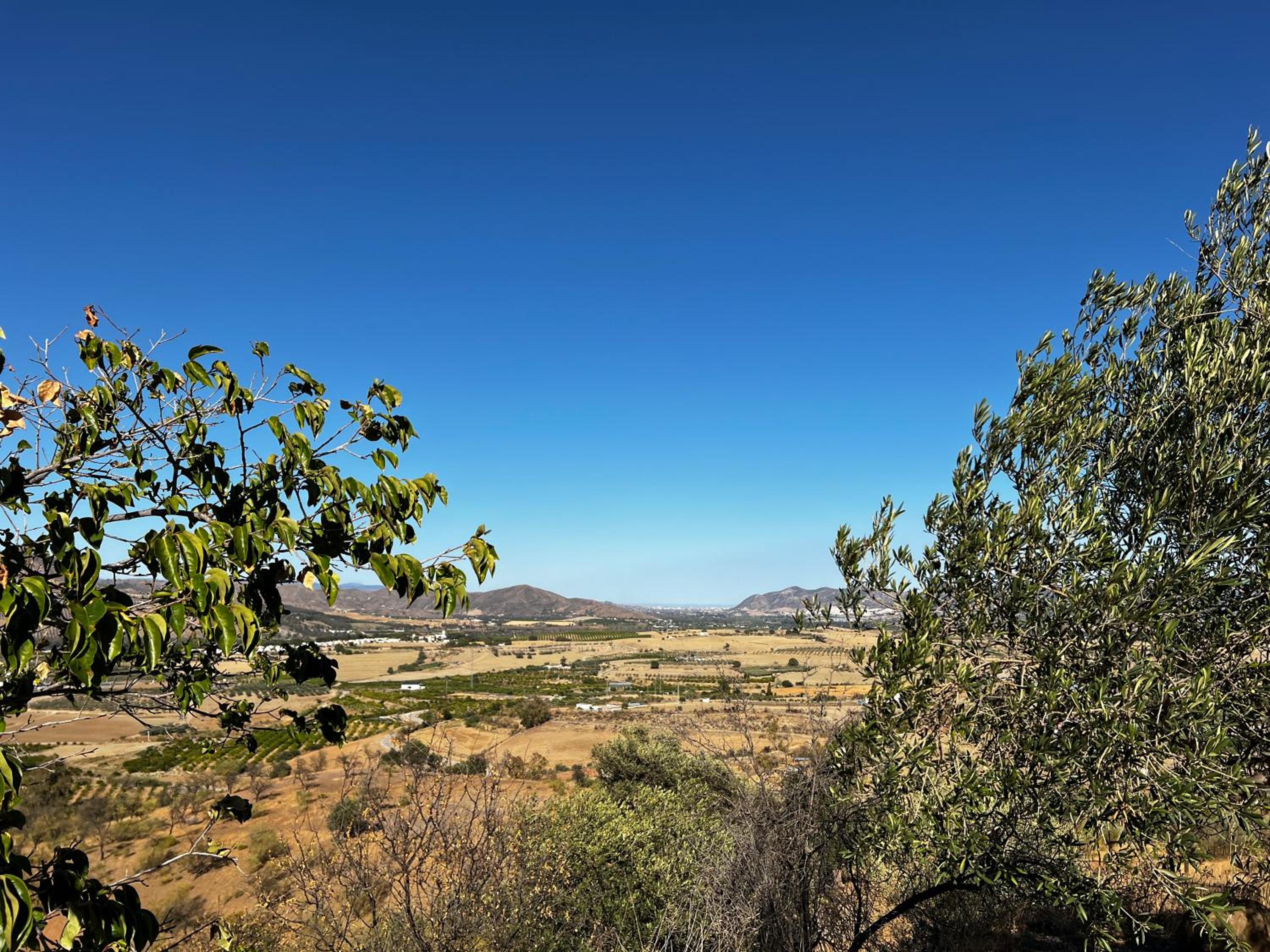 Santa Teresa Bed & Breakfast Andalusien