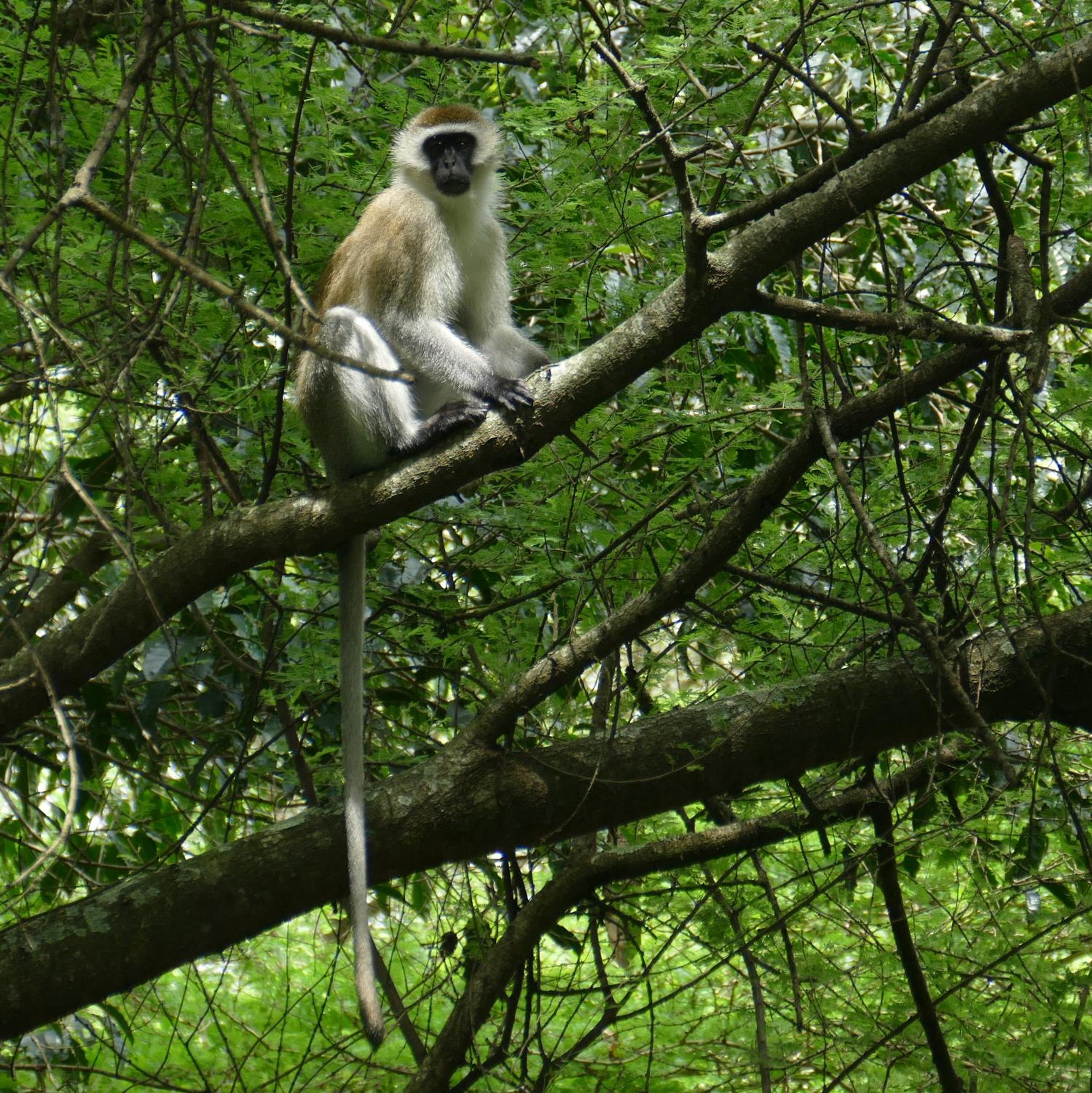 Photo 40