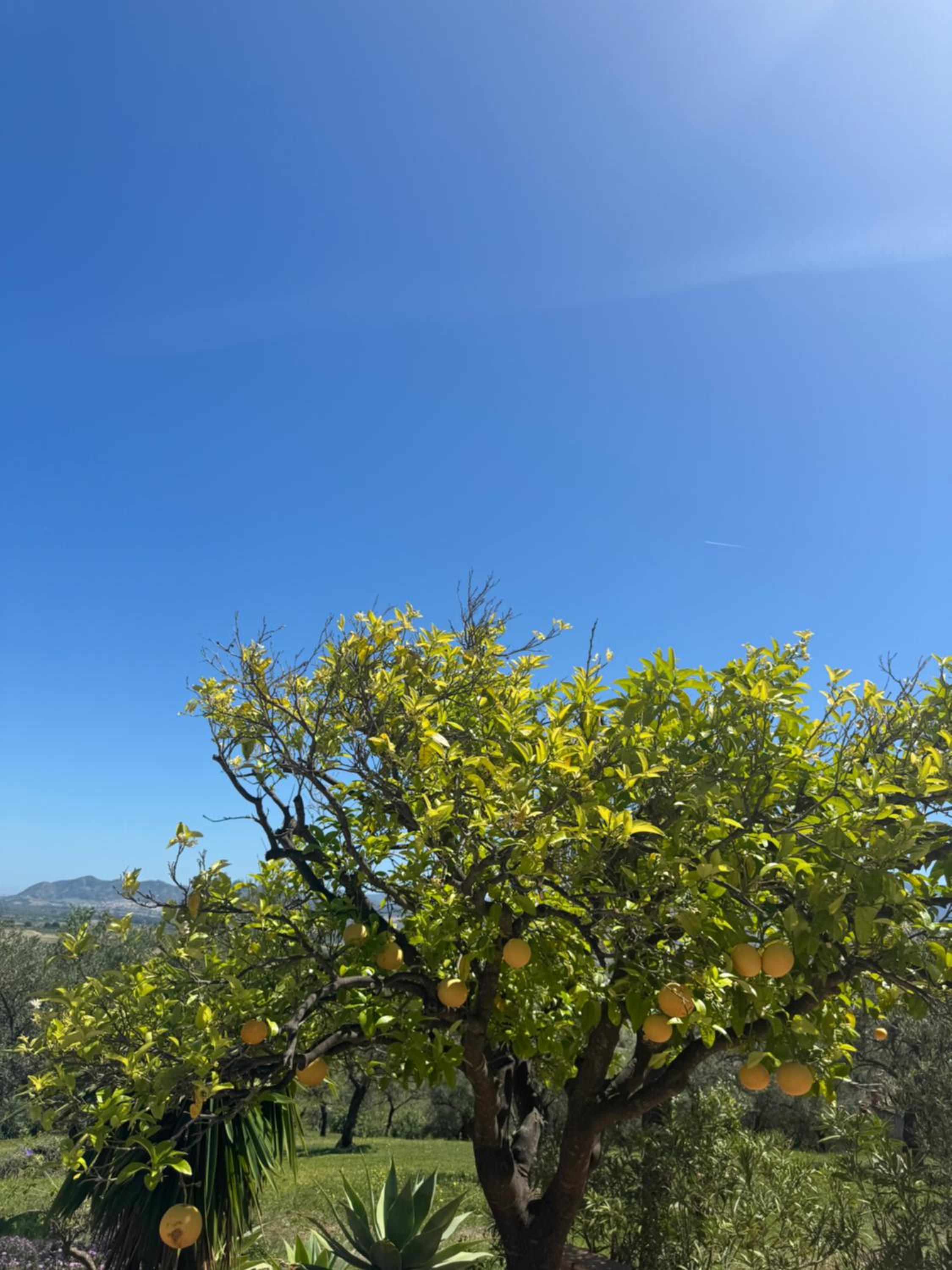 Santa Teresa Bed & Breakfast Andalusien