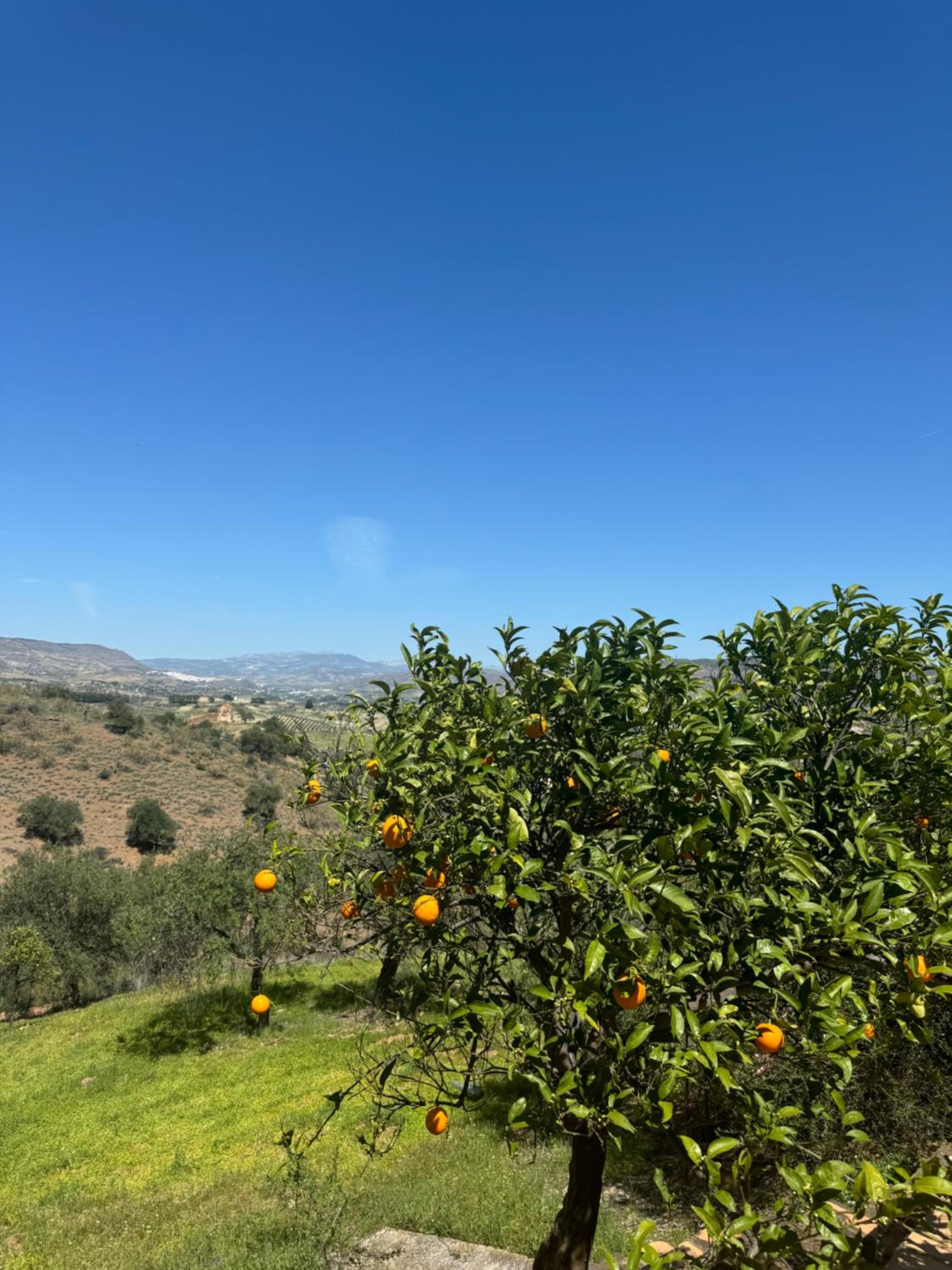 Santa Teresa Bed & Breakfast Andalusien