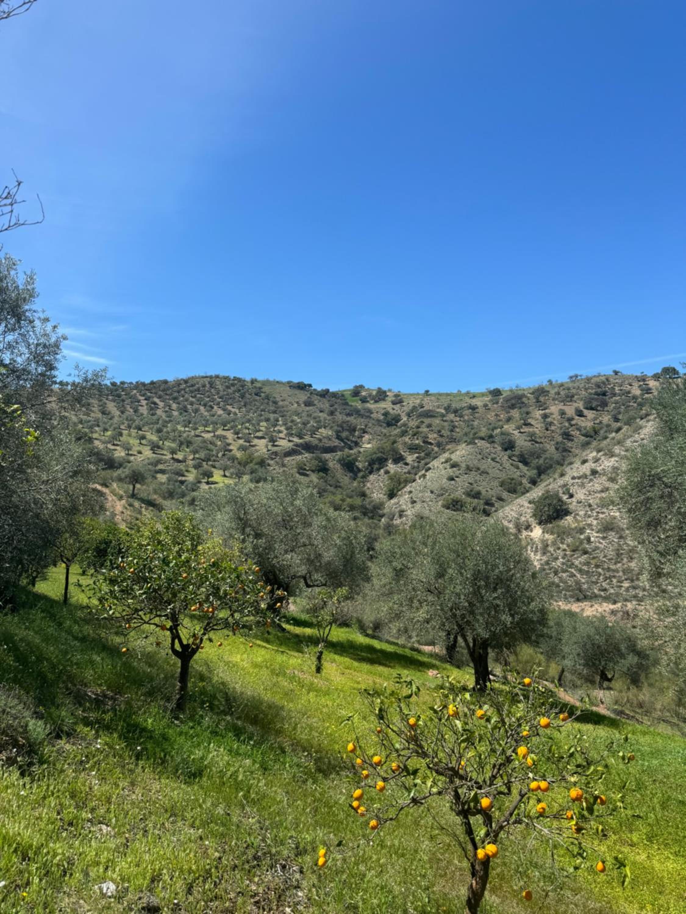 Santa Teresa Bed & Breakfast Andalusien