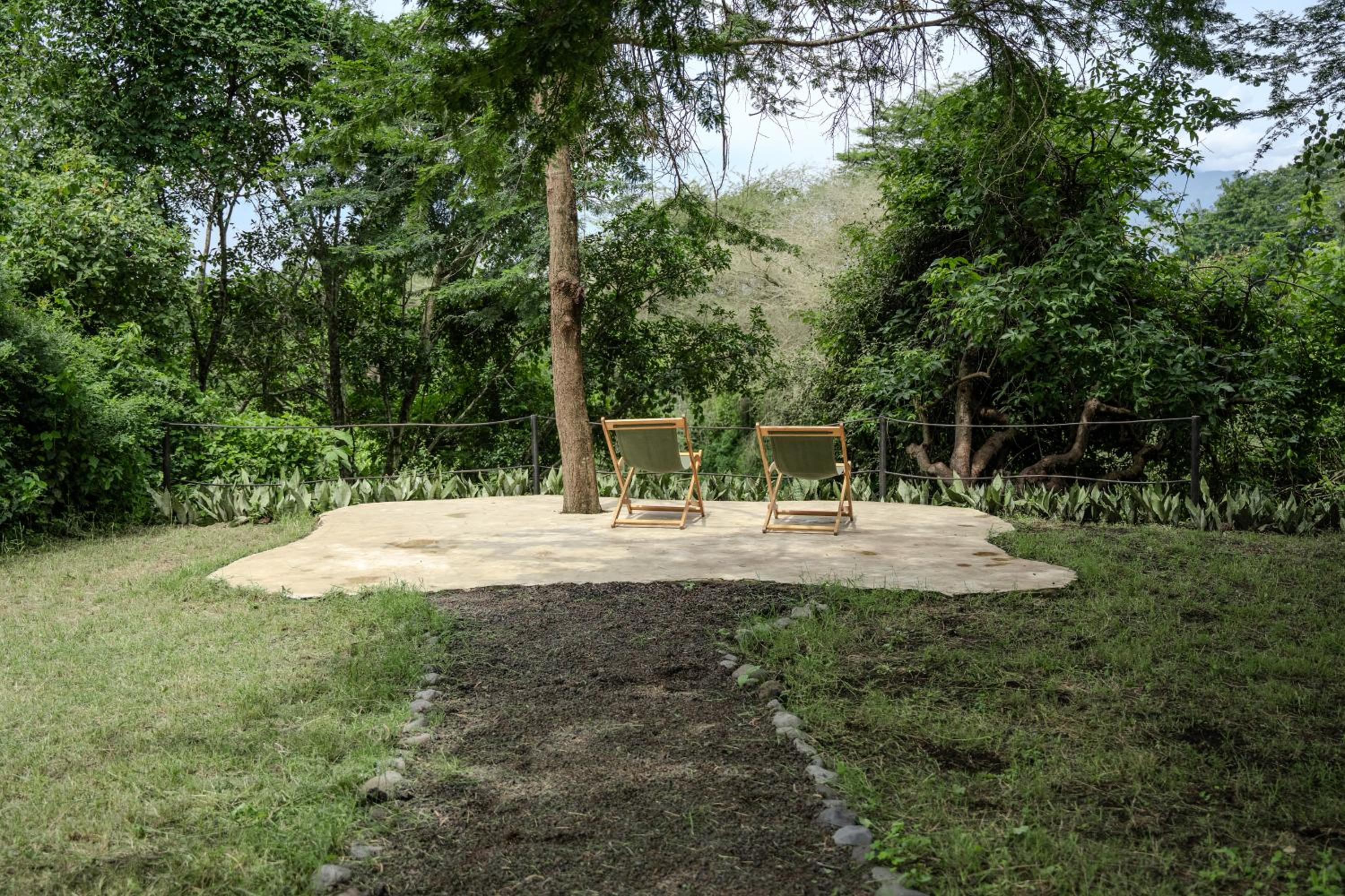Dolly Farm & River Camp, Luxury Tents view 3