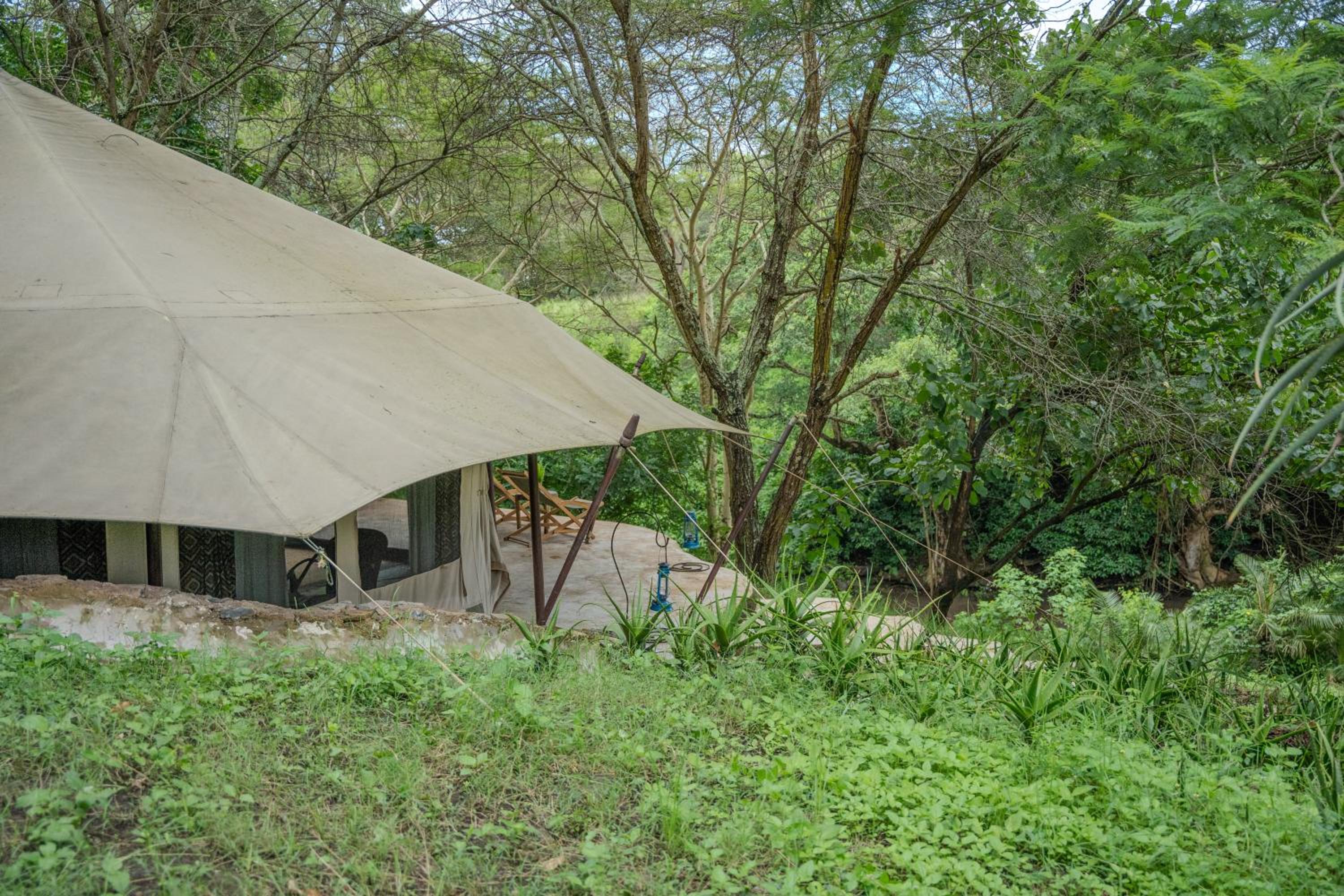 Dolly Farm & River Camp, Luxury Tents view 4