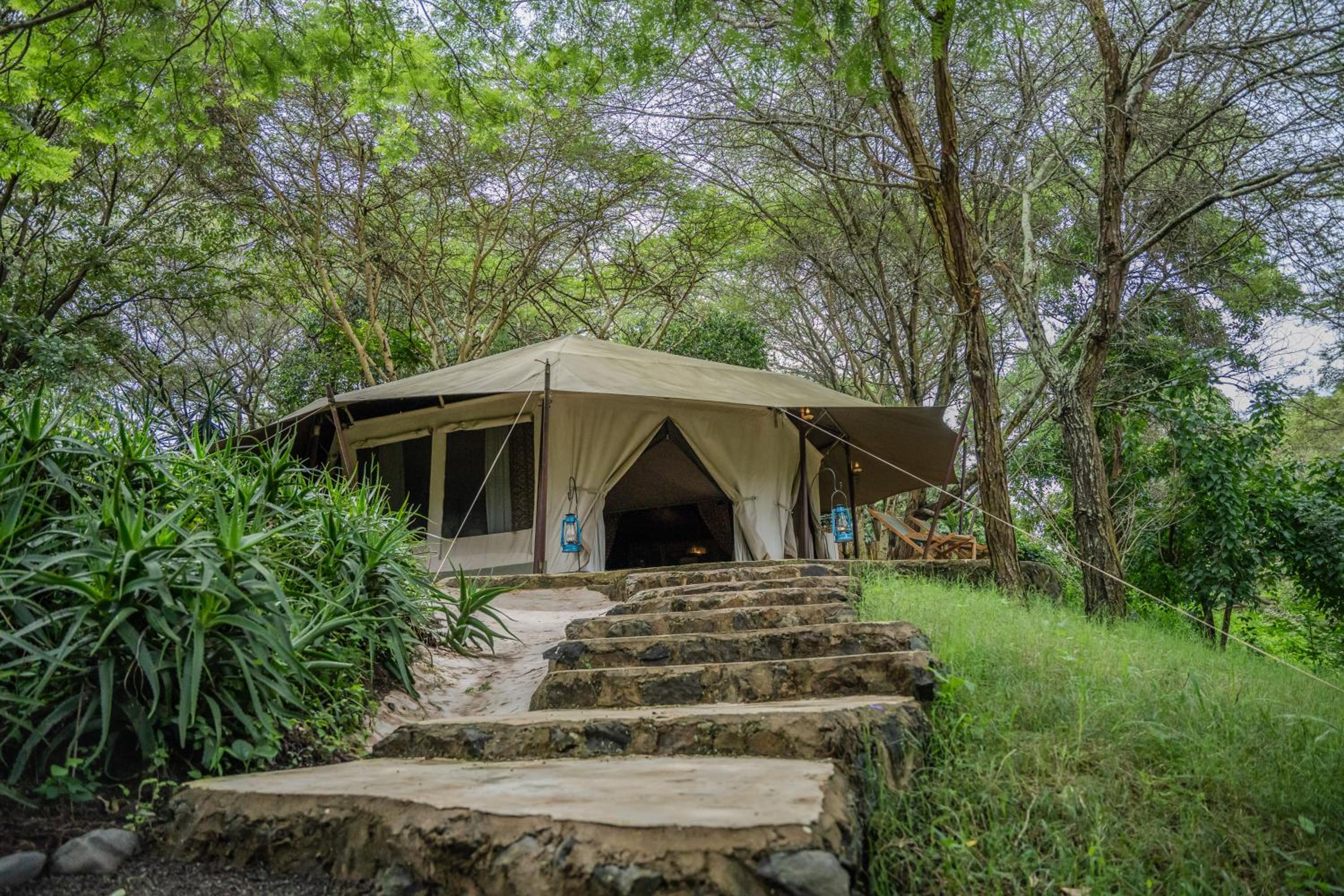 Dolly Farm & River Camp, Luxury Tents view 5