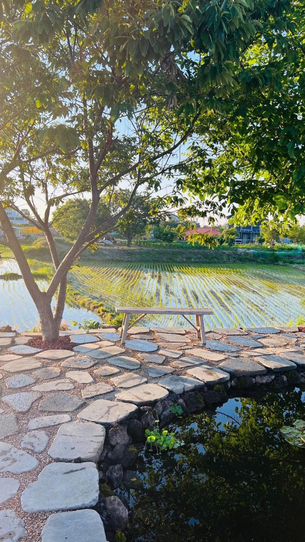 Yangyang Staydaro