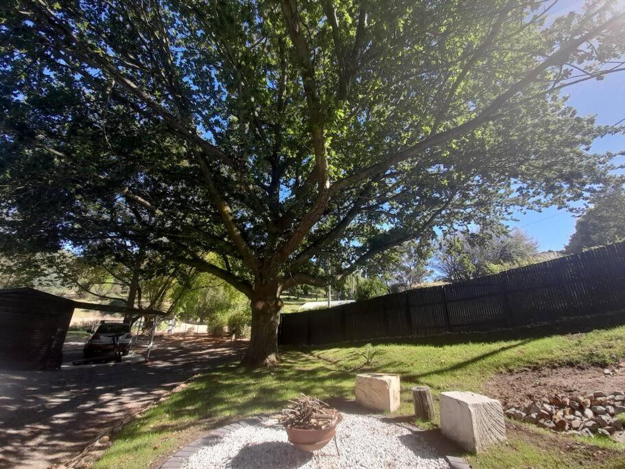 Old Oak Tree Cottage
