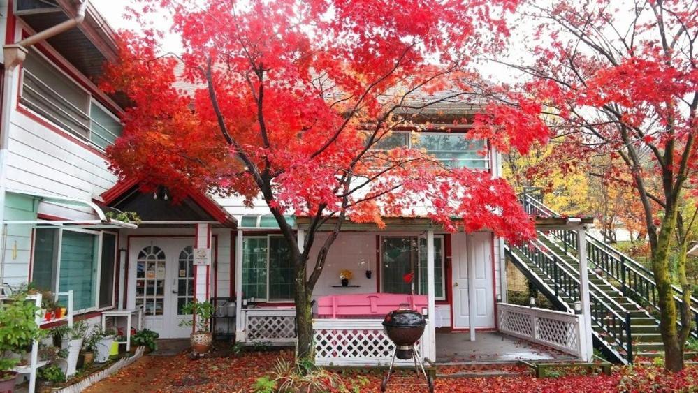 Gapyeong Kkonmuji Pension