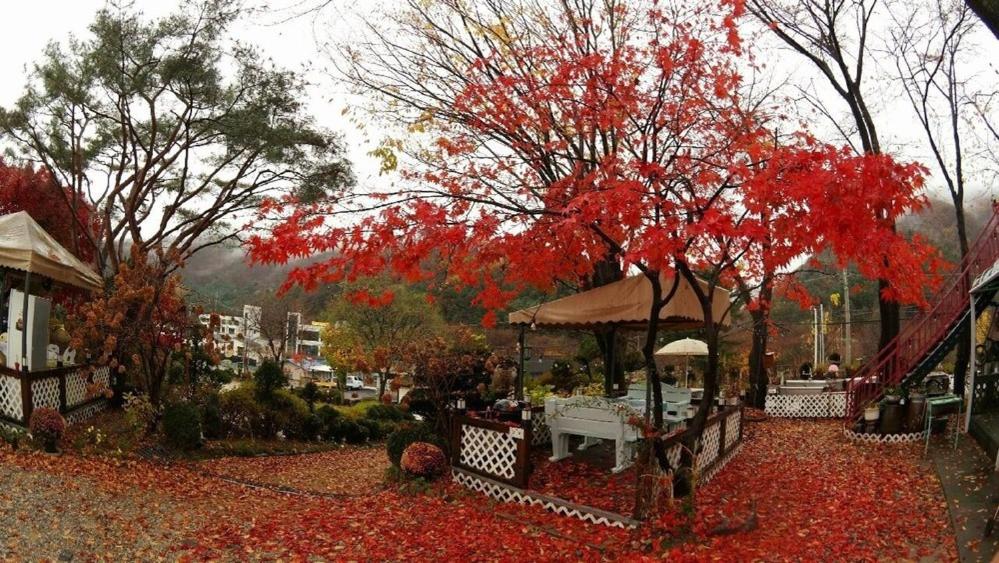 Gapyeong Kkonmuji Pension