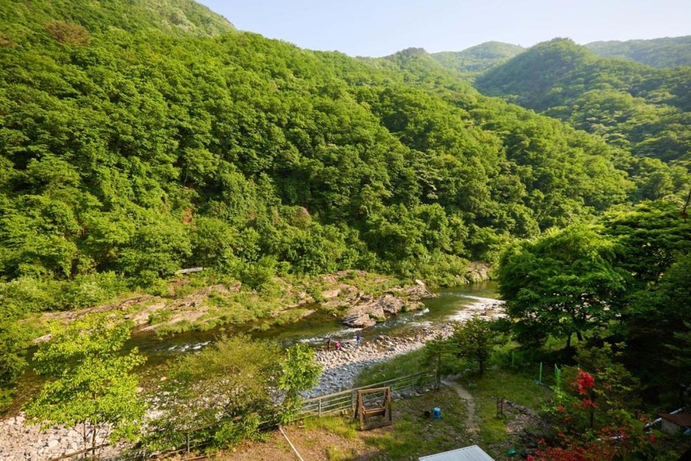Natural Harmony Spa Pension view 5