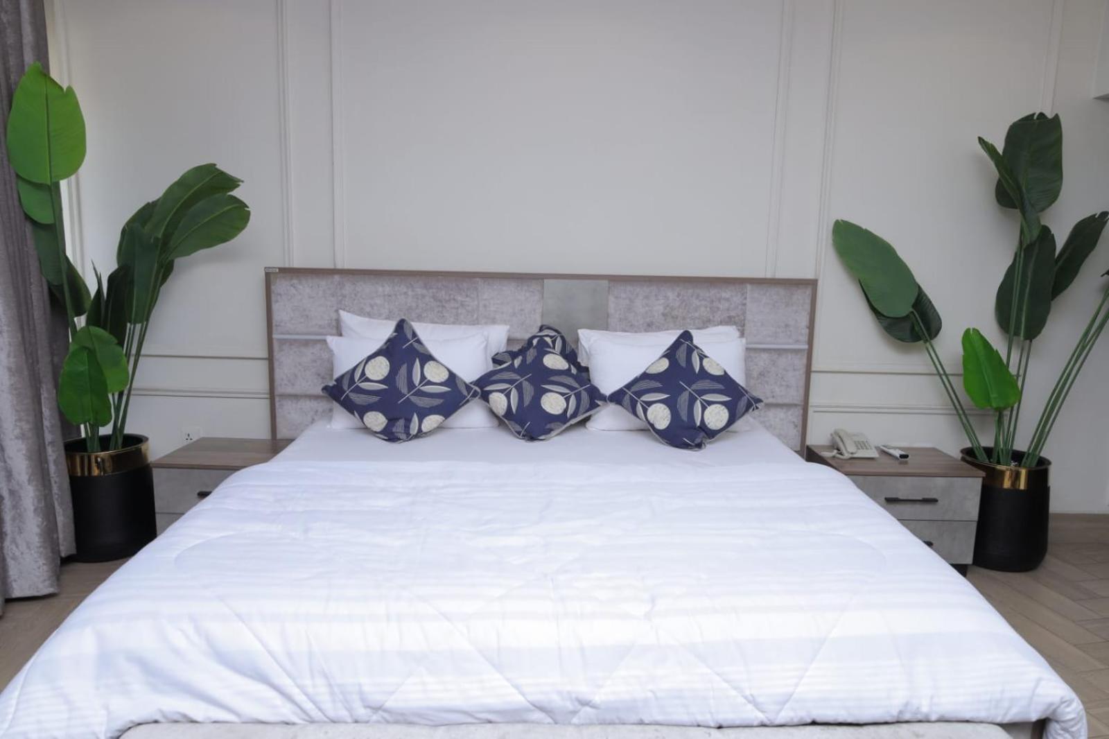 LDS Mall Luxurious Penthouse - Jhang view 3