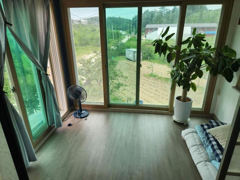 Gangneung Blue Fragrance view 4