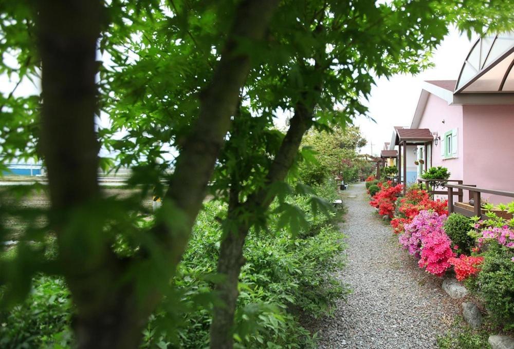 Ciel Pension view 5