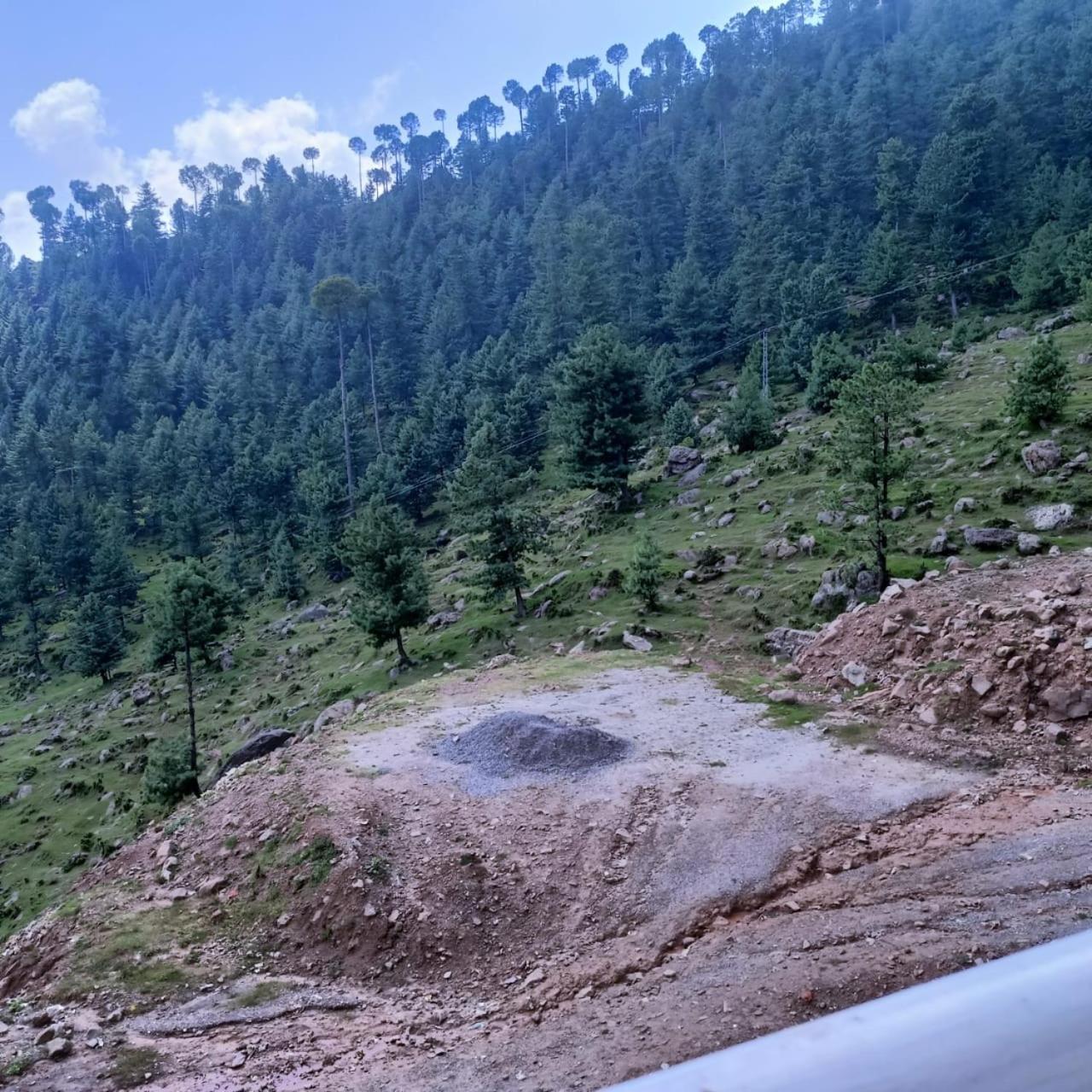 Muree oaks