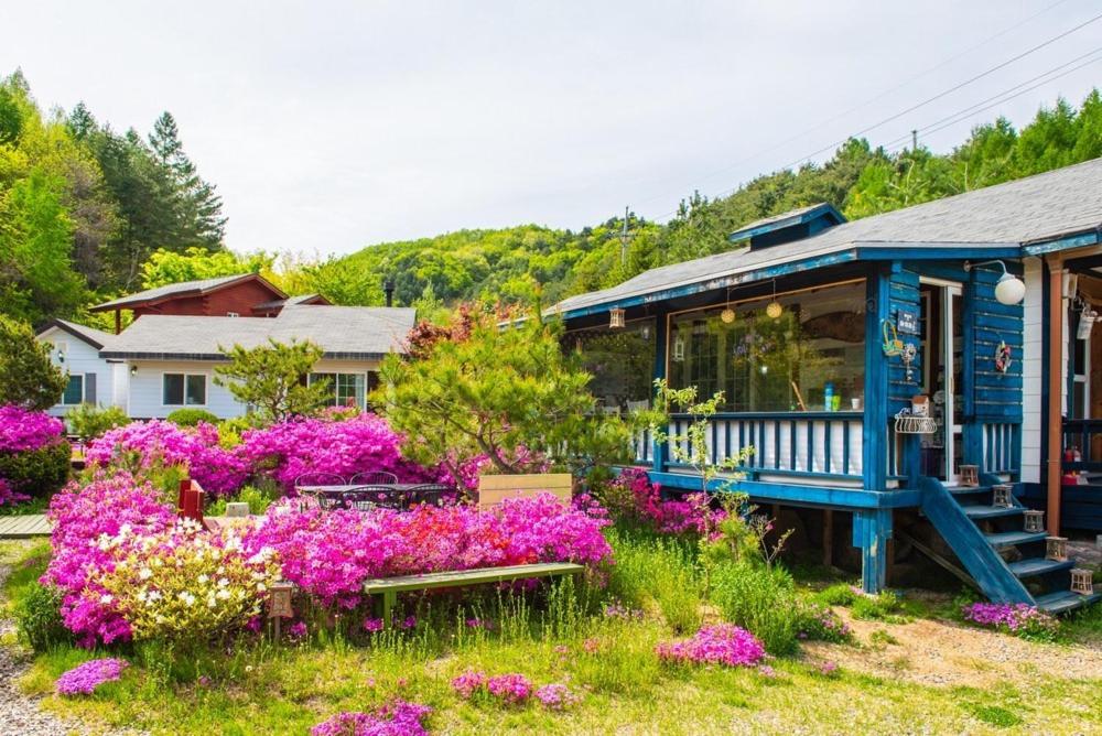 Pyeongchang Vacations - Pyeongchang Zermatt Pension Family, Couple - Property Image 17