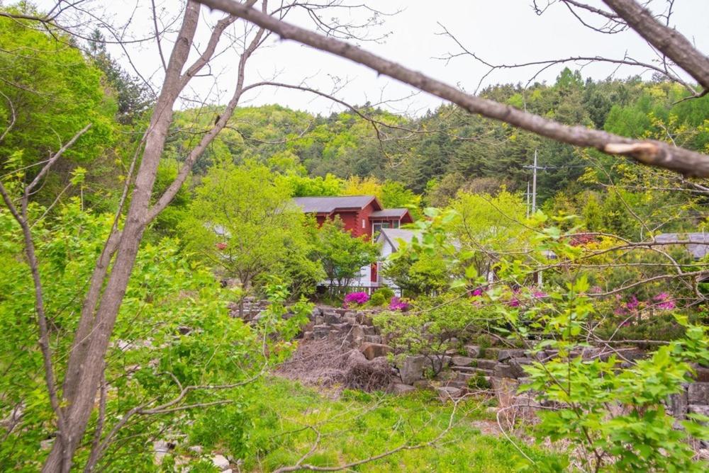 Pyeongchang Vacations - Pyeongchang Zermatt Pension Family, Couple - Property Image 10