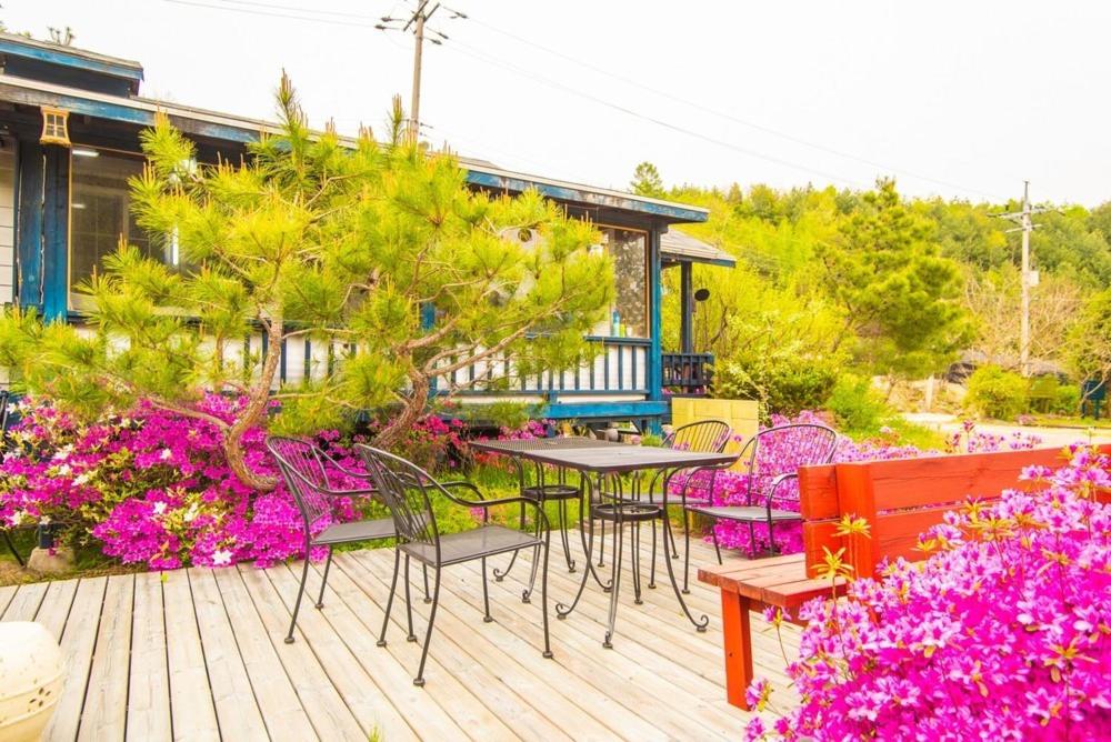 Pyeongchang Vacations - Pyeongchang Zermatt Pension Family, Couple - Property Image 9