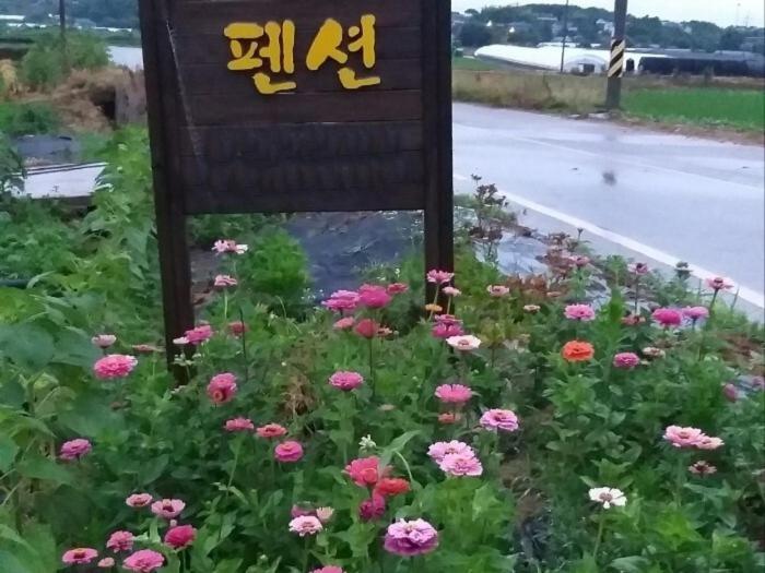 Nonsan Wild Flower Pension, photo 20
