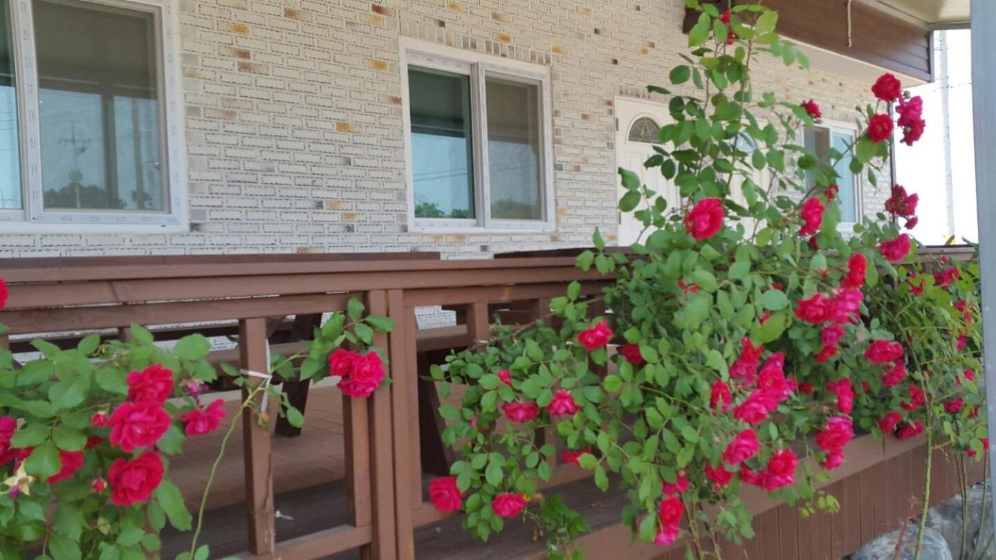 Nonsan Wild Flower Pension