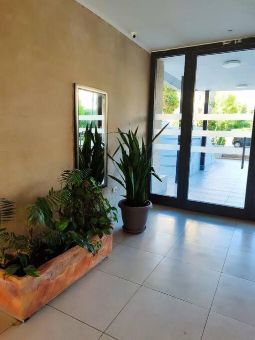 A flat in Haifa Nissenboim Street