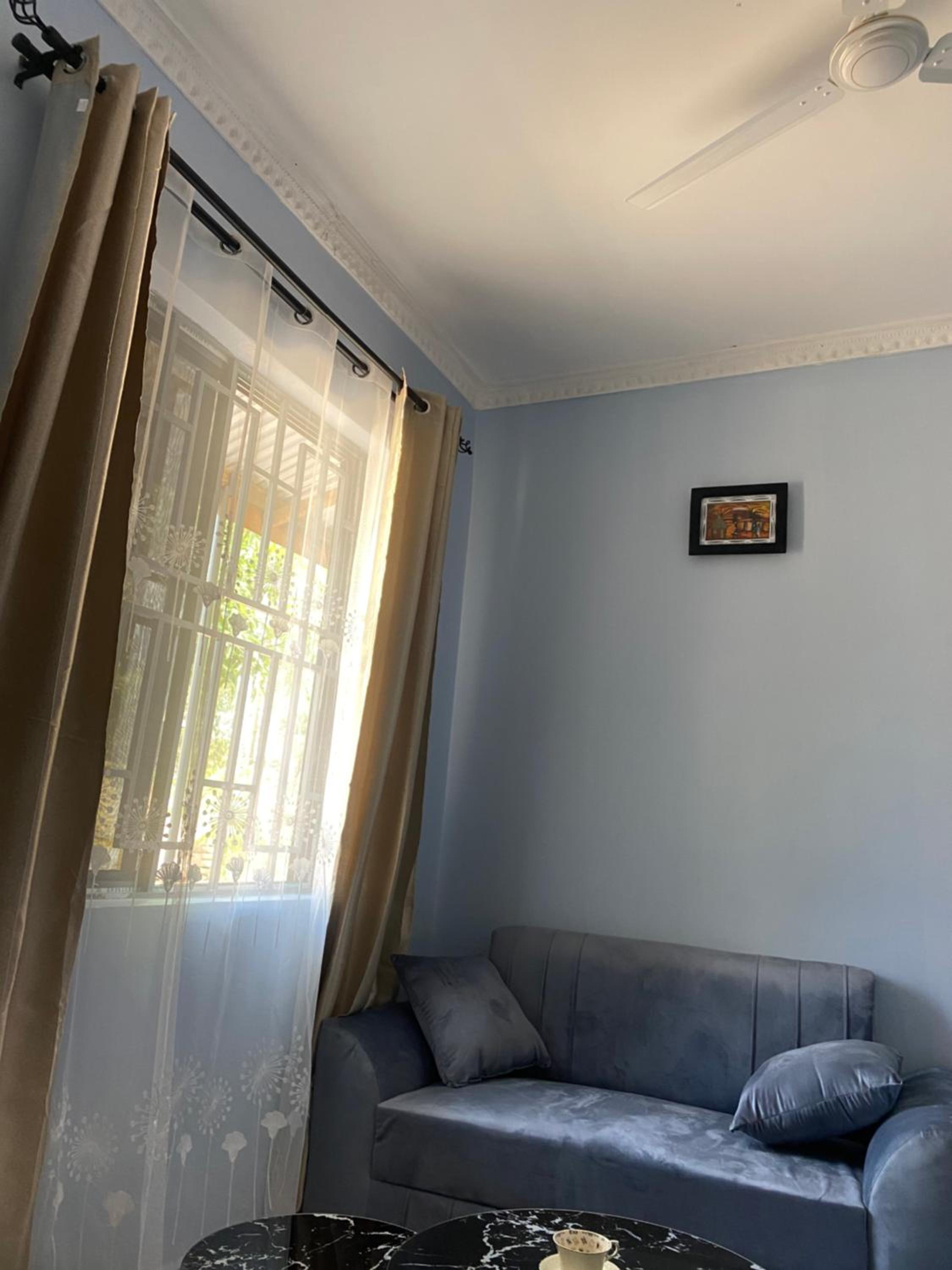 COMFORT HAVEN Studio