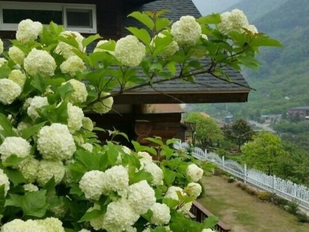 Gurye Tongnamu Pension
