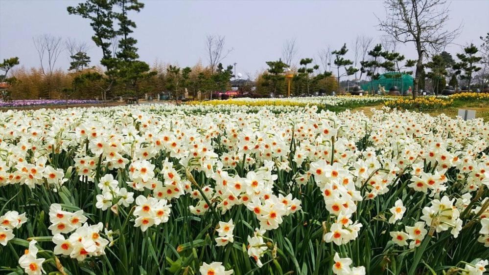 Taean Sugasolbang