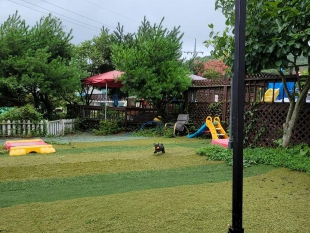 Photo 9