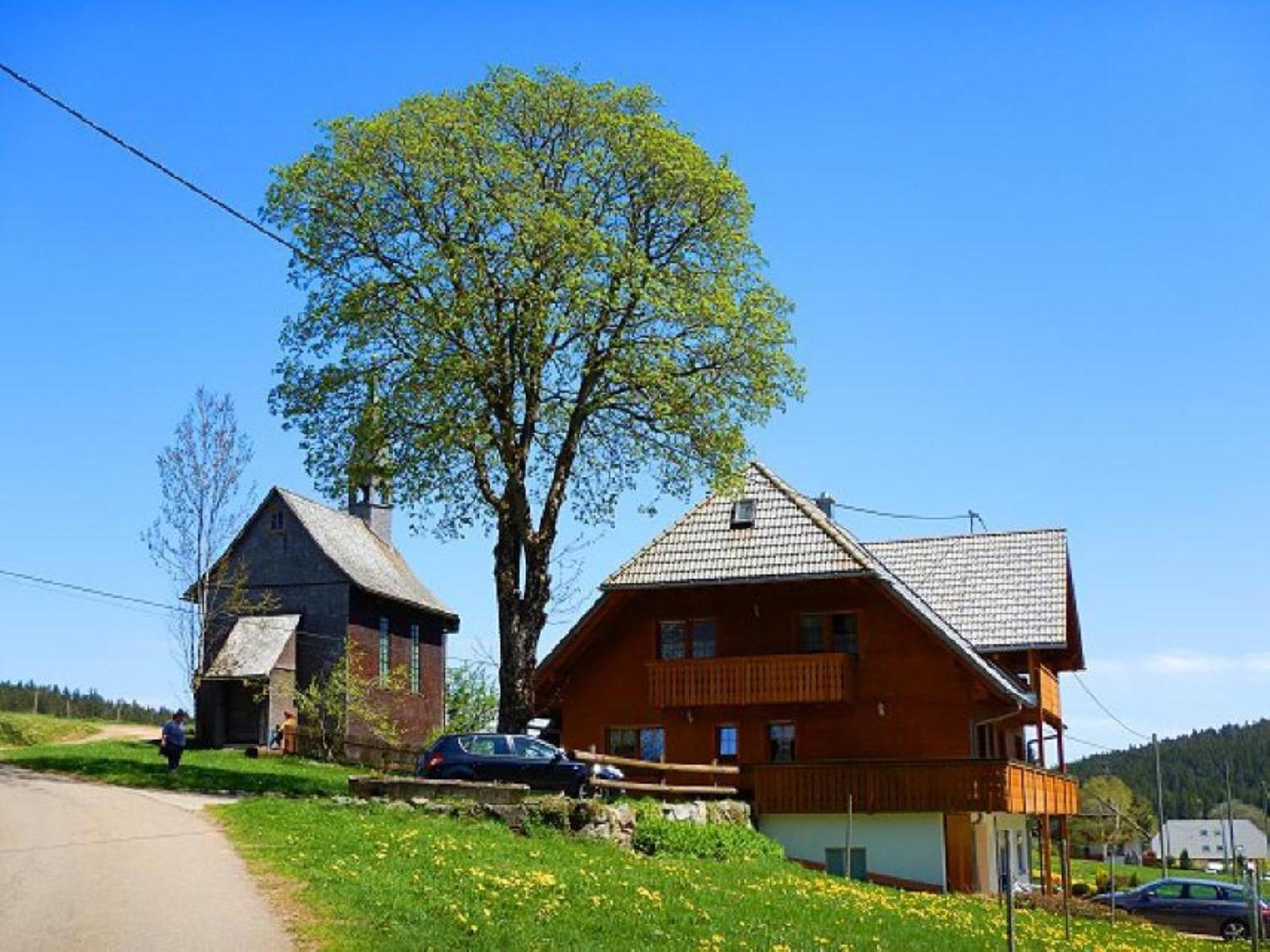 Bärenhof Backhaus
