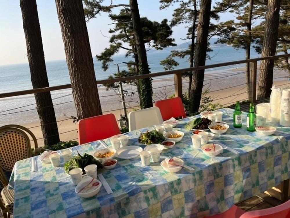 Taean Leo Minbak view 3