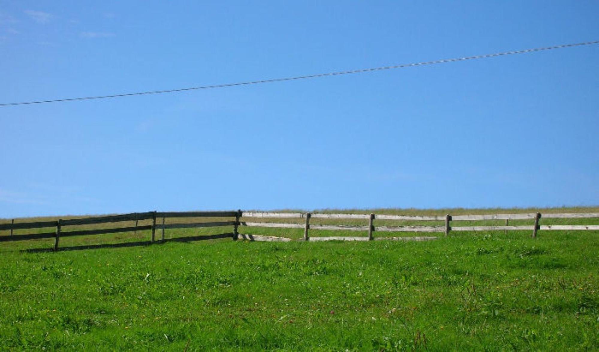 Bärenhof Hüsli