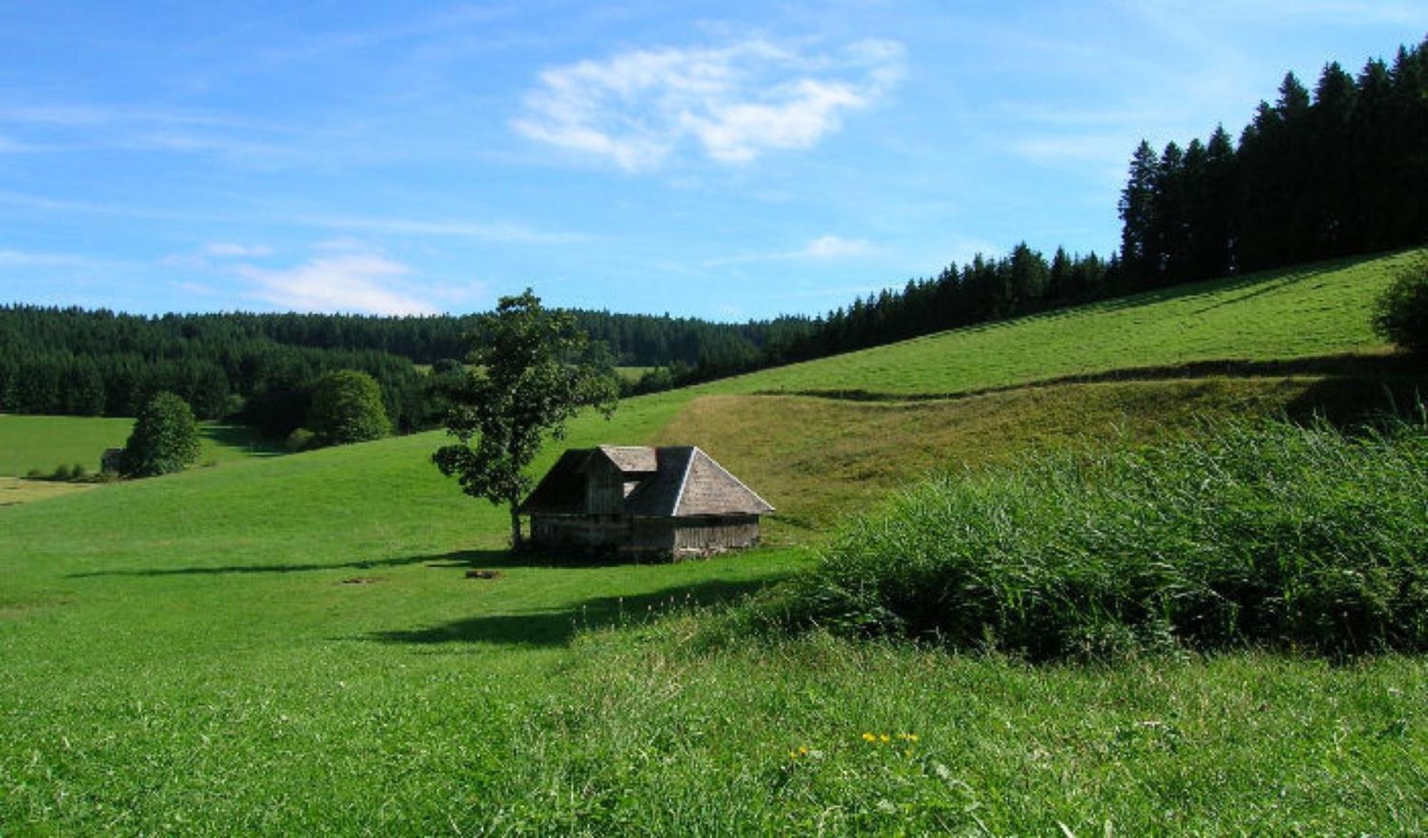 Bärenhof Hüsli