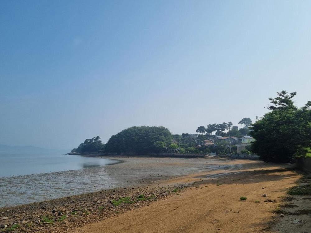 Seosan Pine Sea Pension view 4