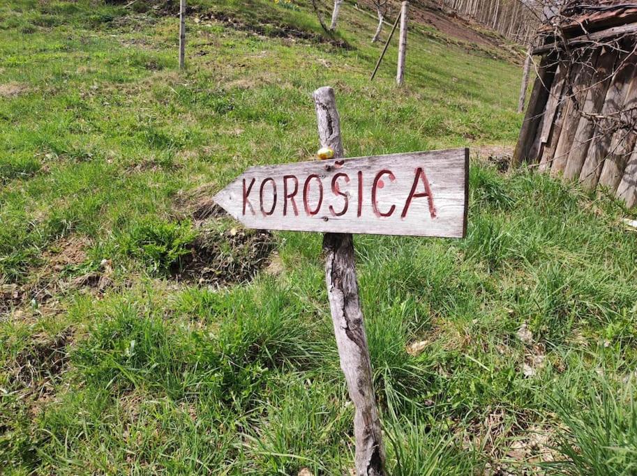 Apartma Discovering Slovenia