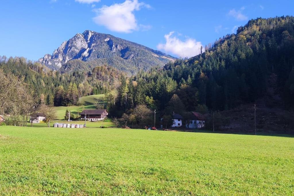 Apartma Discovering Slovenia