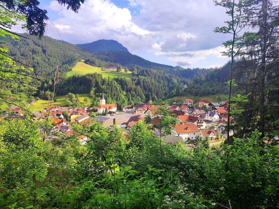 Apartma Discovering Slovenia