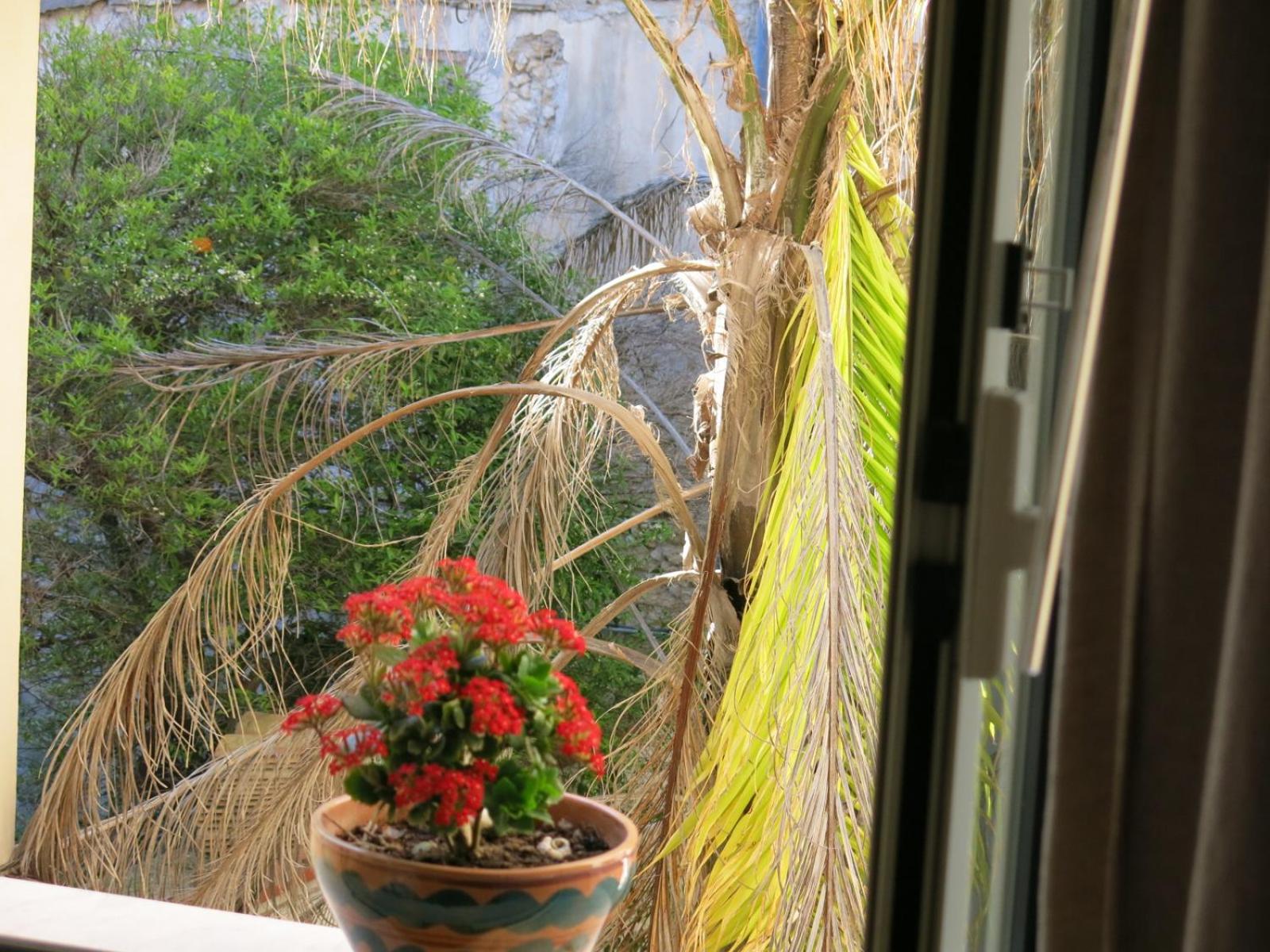 B&B Spiraglio photo 3