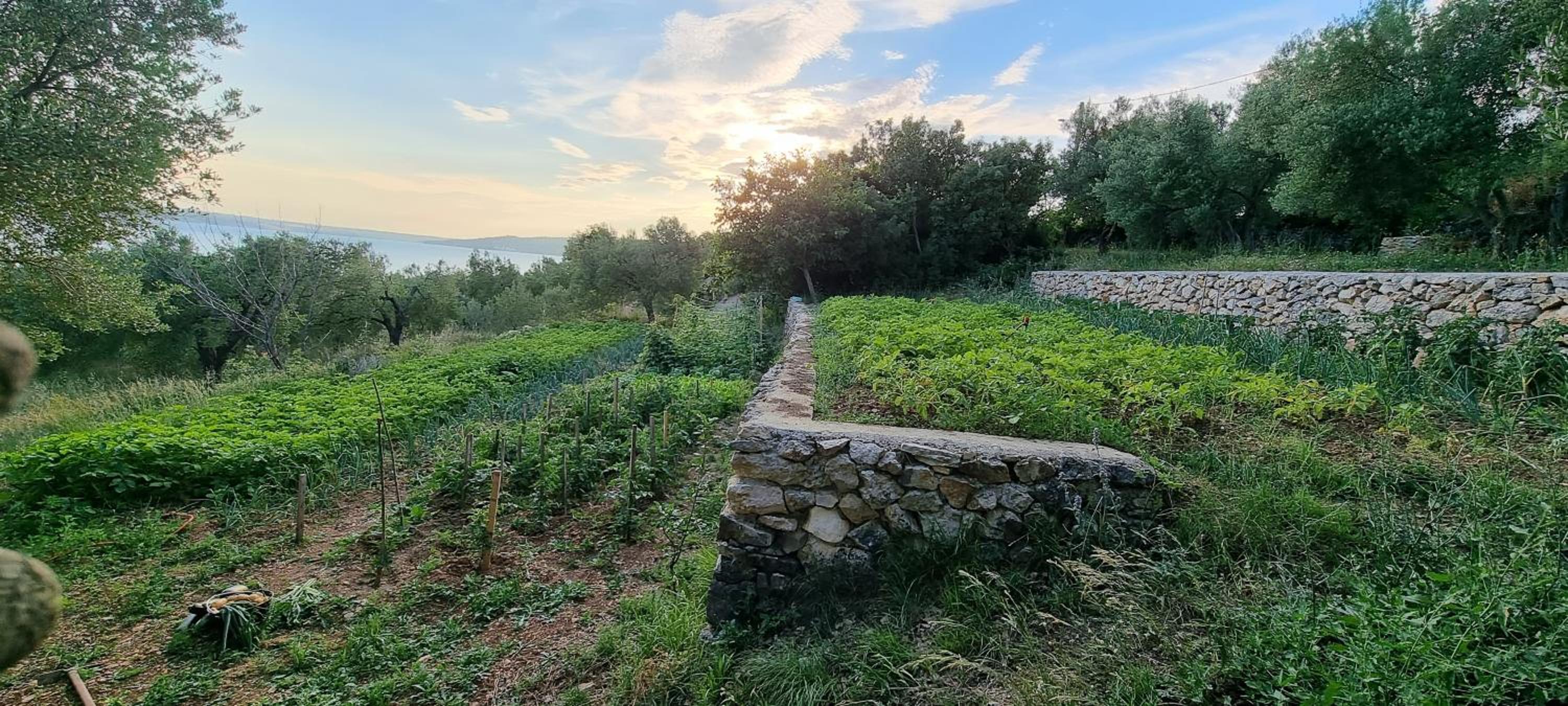 Photo 74