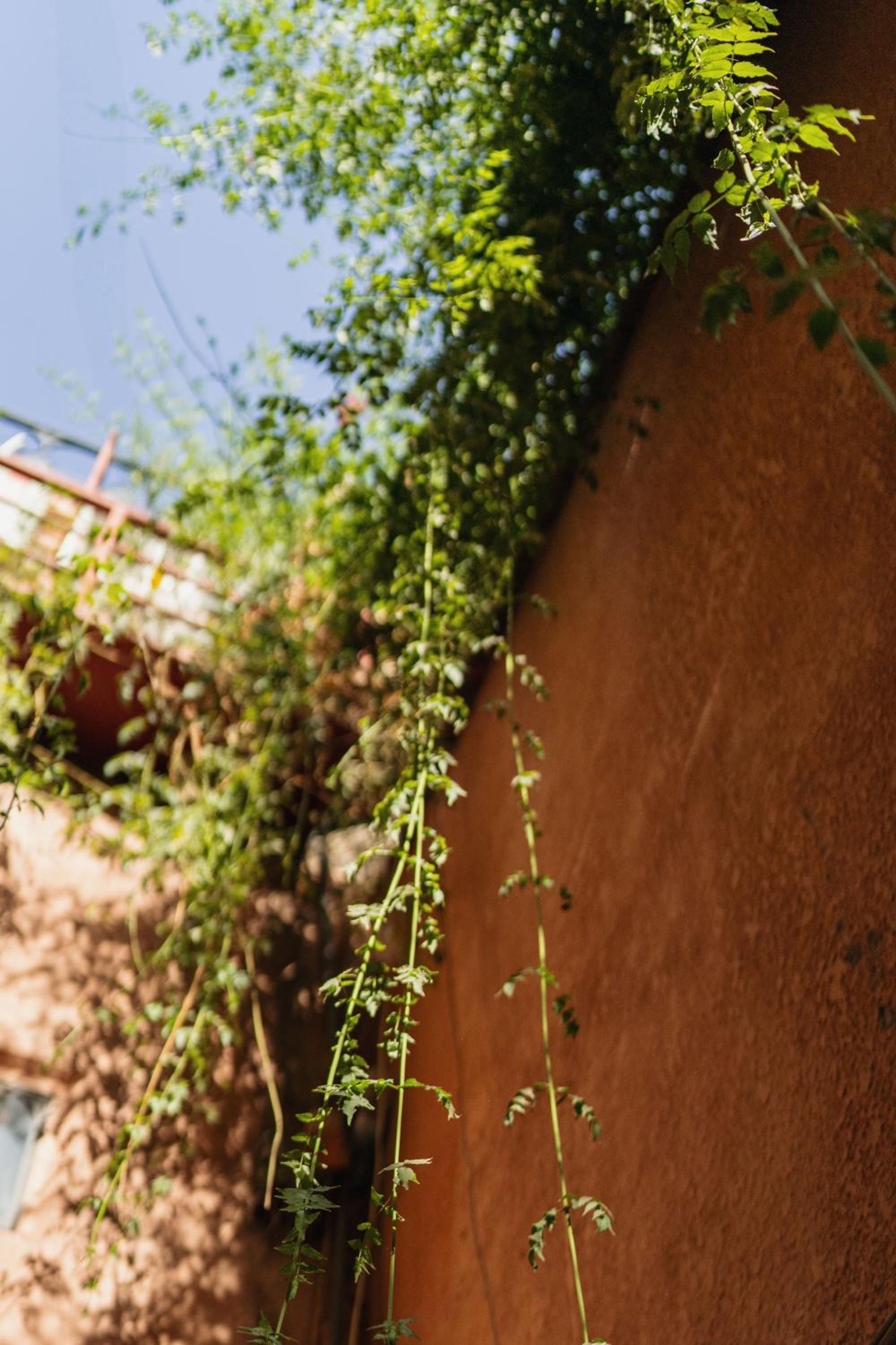 Riad Senja