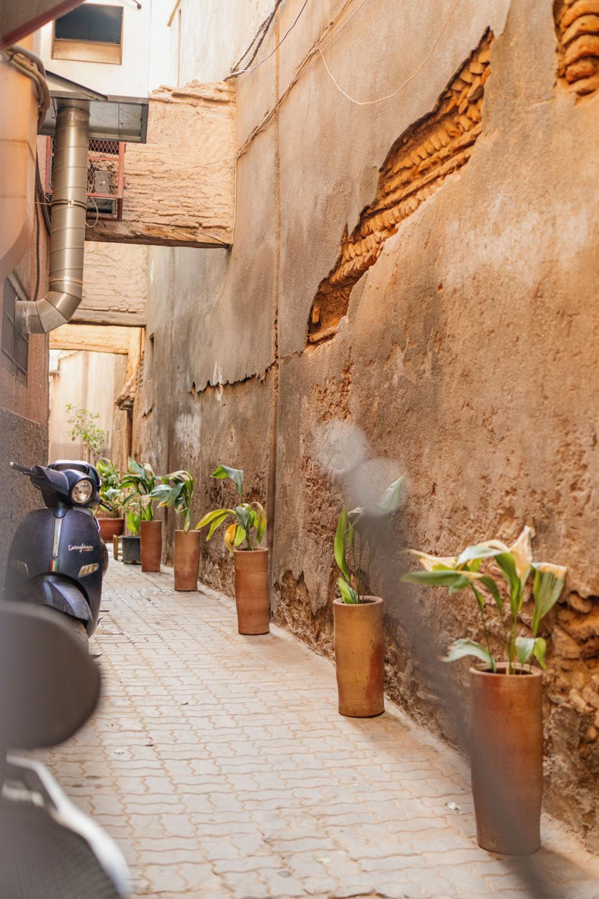 Riad Senja