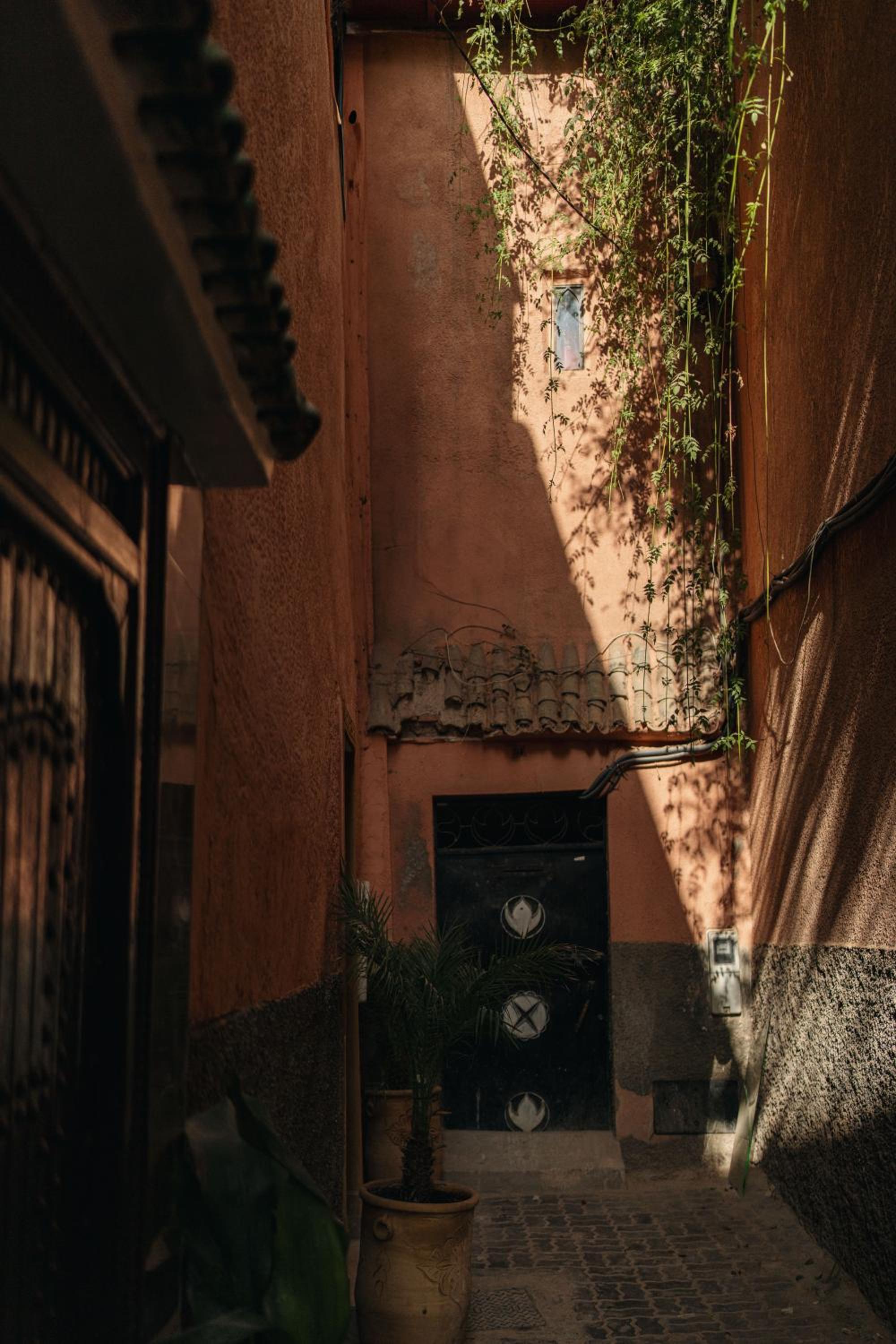 Riad Senja