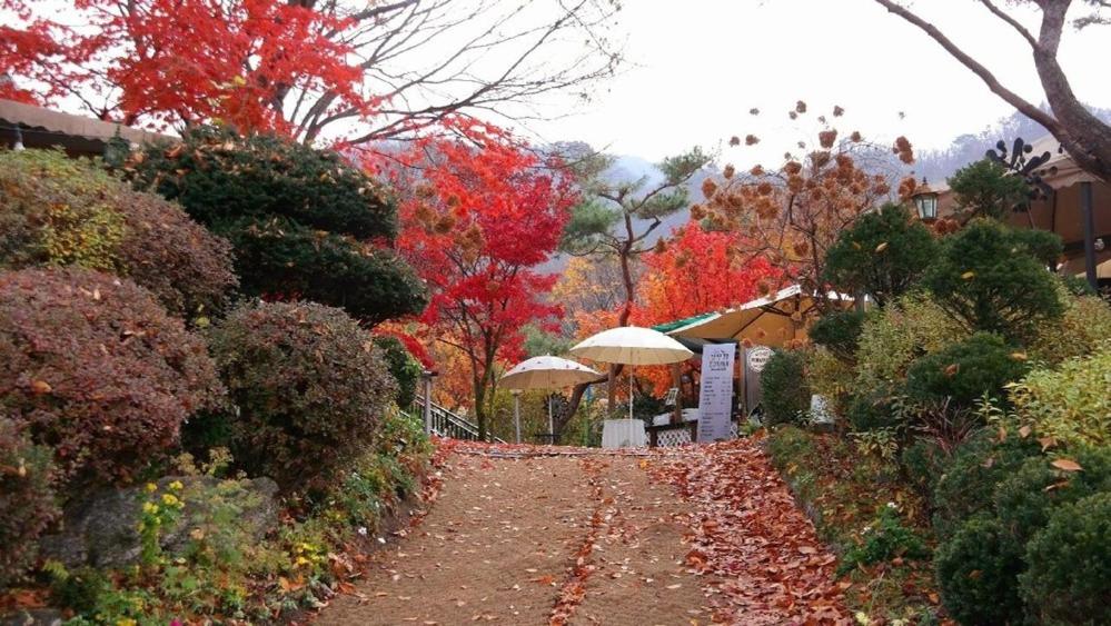 Gapyeong Kkonmuji Pension