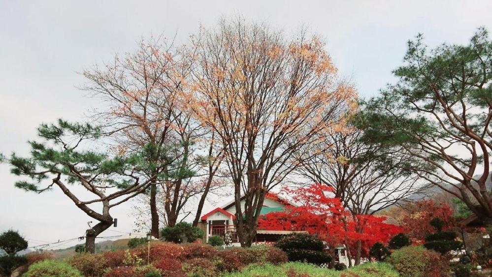 Gapyeong Kkonmuji Pension